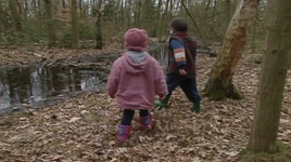 Walking in the Woods
