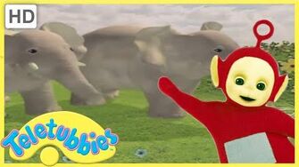 ★Teletubbies_classic_★_English_Episodes_★_African_Dance_(South_Africa)_★_Full_Episode_(S14E355)_HD