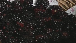 Blackberries Good Quality