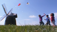 Kite Flying