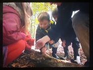 Andy and the children looking for a woodlice.