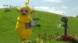 Teletubbies, Teletubbies Wiki