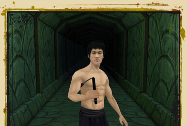 Temple Run 2 gets updated with the legendary martial artist Bruce Lee as a  playable character - Droid Gamers