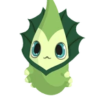 Hidody
