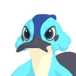Platox