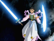 Tenchi Light Hawkwings