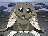 Fuku-01.jpg
