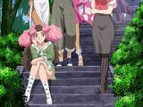 Paradise War