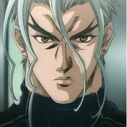 Gaō Tetsushi Kikoku Ken, Tenjou Tenge Wiki