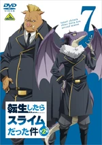 DVD 7