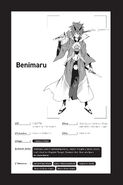 LN 16 19 EN.jpg (272 KB) Benimaru's status card.