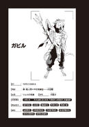 LN16 - 23.jpg (153 KB) Gabiru's status card.