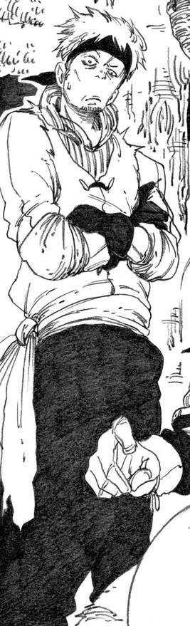 Light Novel