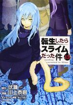 Manga Volume 13