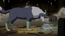 Ranga Tempest Wolf Anime 1.png