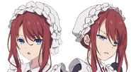 Ilia Coral