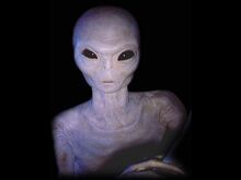 Grey-alien.jpg