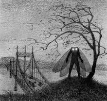 Moth.jpg