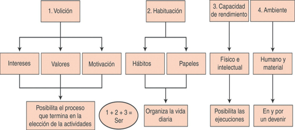 Modelo de Ocupación Humana | Terapia Ocupacional Wiki | Fandom