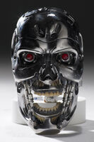 T-900 (Endoskull)