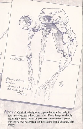 Flencer game manual description