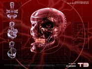 Terminator-skull of the t-850