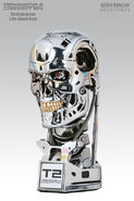 T-800 Endoskeleton