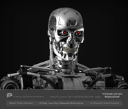 Tgfw-t810-model-hi04.jpg (378 KB)