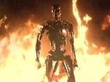 T-800/Durability