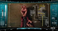HUD and arm schematics