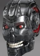 T-900 endo-skull