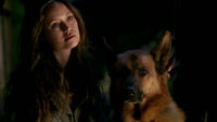 Allison and Dog