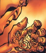 T3fragmented-t950male-pt1-14-1.jpg (110 KB)