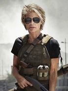 Terminator Dark Fate Sarah Connor.jpg (84 KB)