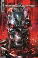 Metal1-scaled.jpg (172 KB) Cover D, H (premium), art by Ivan Tao