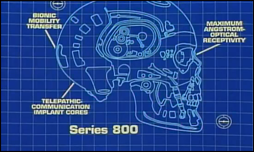 T-800 (Original timeline), Terminator Wiki