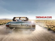 S2 1600x1200 wallpaper 2.jpg (1.6 MB)