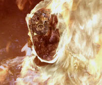 A little Thermite never hurt anybody, except for a few T-888s