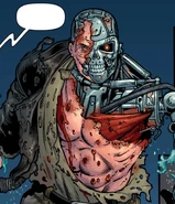 Longhair-damaged.jpg (212 KB)