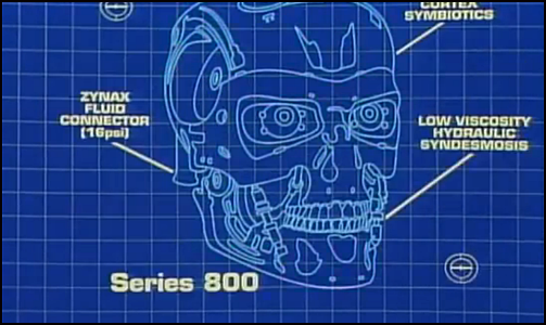 T-800 (Original timeline), Terminator Wiki