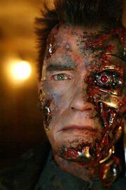 Arnold schwarzenegger-terminator-3