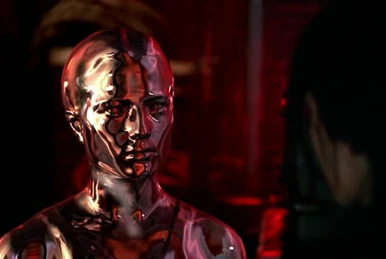 Miei T　1001 Shirley Manson is a T-1001! - YouTube