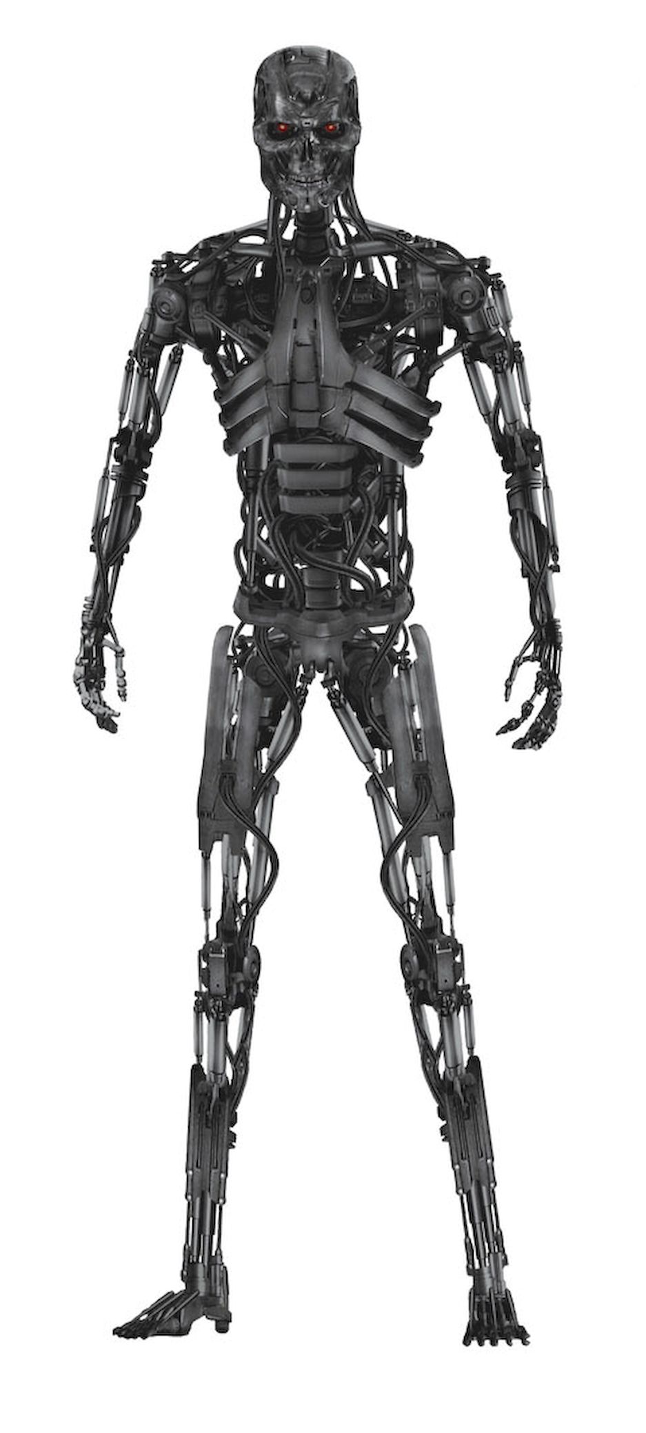 terminator endoskeleton marcus