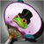 Frog's Fan icon