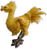 Chocobo (Enemy)