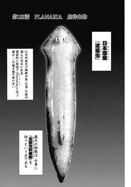 Chapter 121