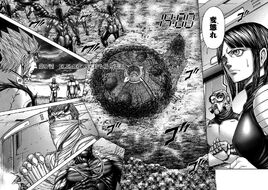 Chapter 97
