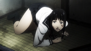 Young Nanao