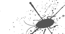 Roach icon.png