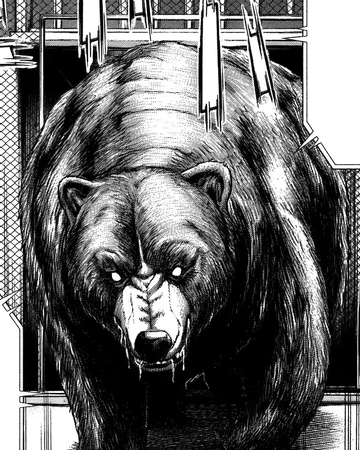 manga bear